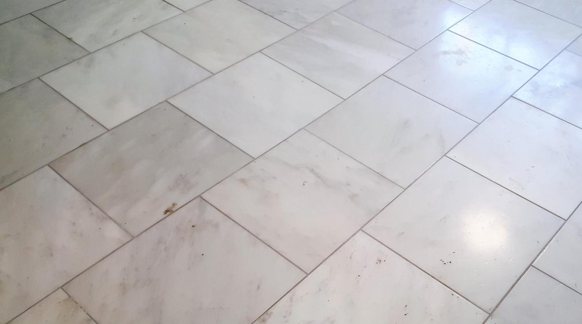 Romantic Secret Garden - Marble Floors & Bath Dt Just 2 Blocks Beach Only 3 Miles 圣奥古斯丁 外观 照片